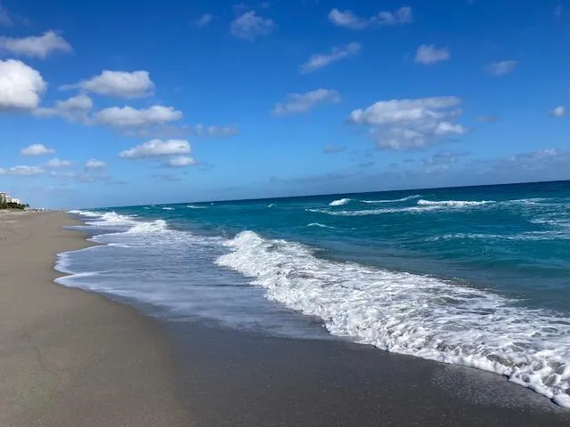 610 CLEMATIS STREET #723 West Palm Beach, FL 33401