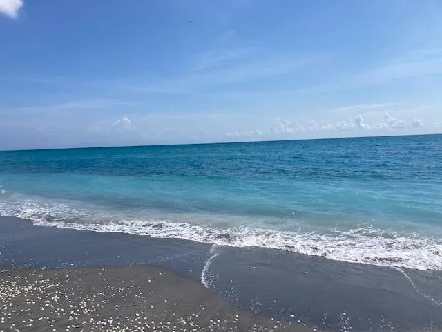 610 CLEMATIS STREET #723 West Palm Beach, FL 33401