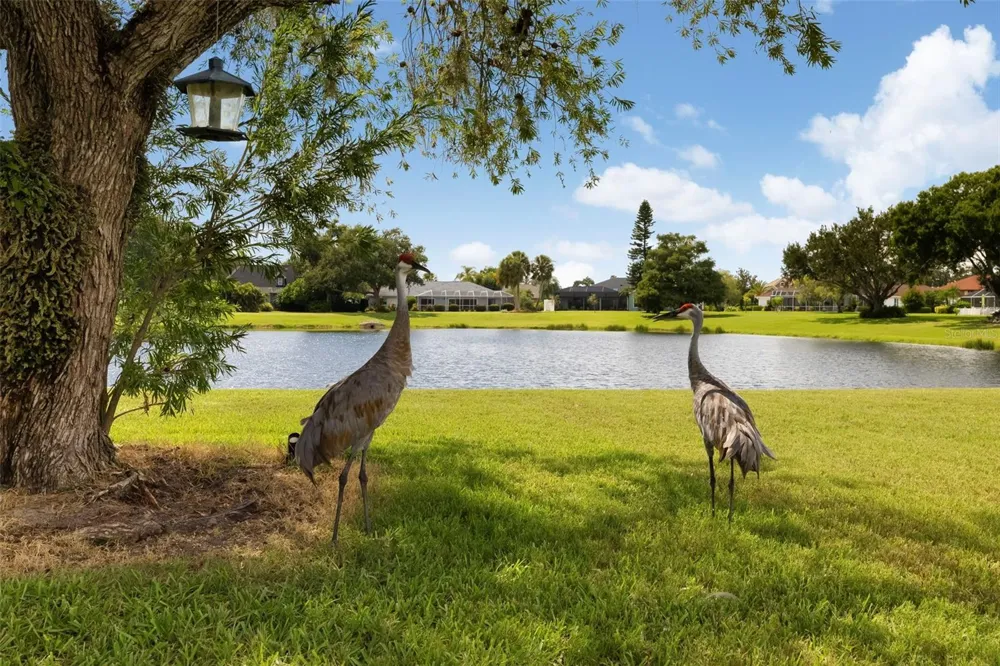 3205 WILDERNESS BOULEVARD E Parrish, FL 34219