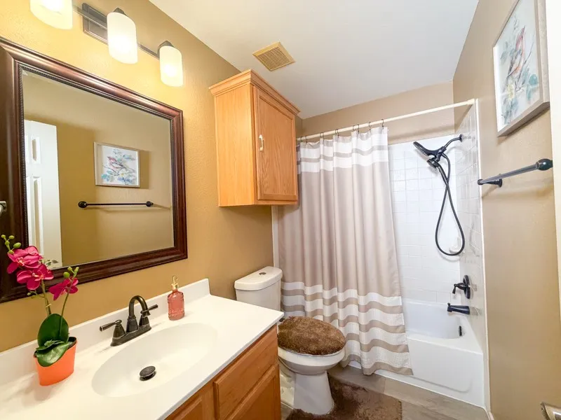 3230 Arroyo Bluff Lane Round Rock, TX 78681