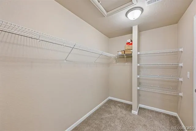 488 Whisper Wind Lane Castle Rock, CO 80104