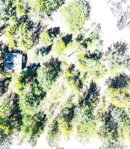 33 Smith Street Bailey, CO 80421