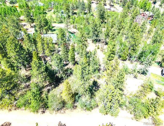 33 Smith Street Bailey, CO 80421