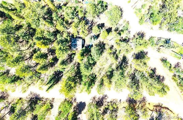 33 Smith Street Bailey, CO 80421