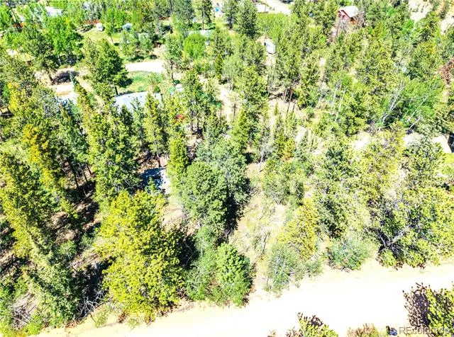 33 Smith Street Bailey, CO 80421