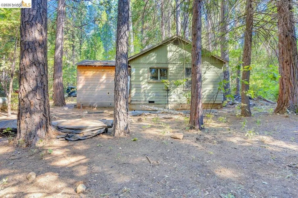 2845 Pine Dr Arnold, CA 95223