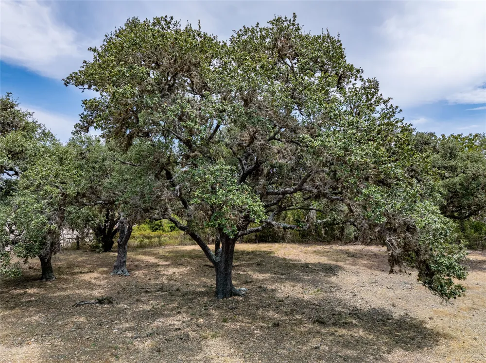 Roitsch Lane La Grange, TX 78945