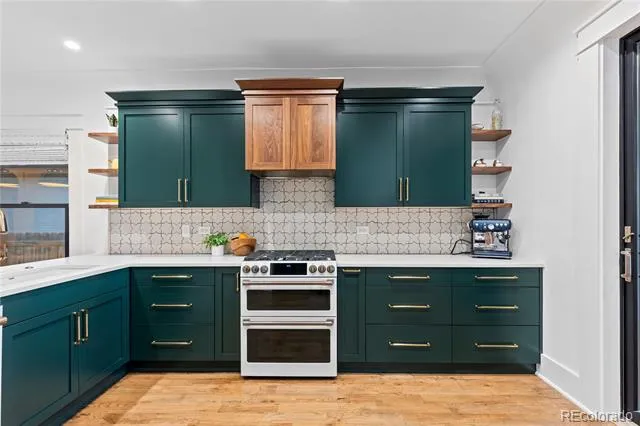 507 S Emerson Street Denver, CO 80209