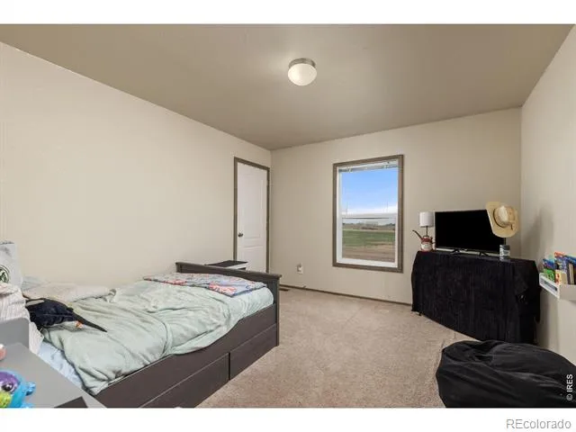 10395 County Road 112 Carr, CO 80612