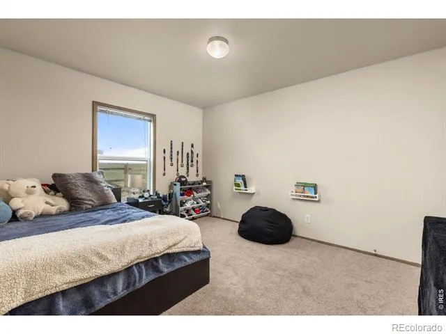 10395 County Road 112 Carr, CO 80612