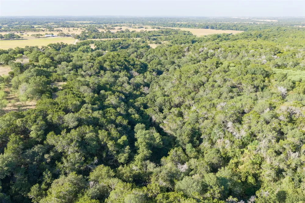 4170 Elm Grove Road Belton, TX 76513