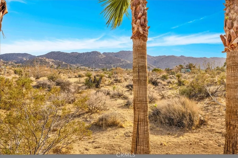 7423 Juniper Road Joshua Tree, CA 92252