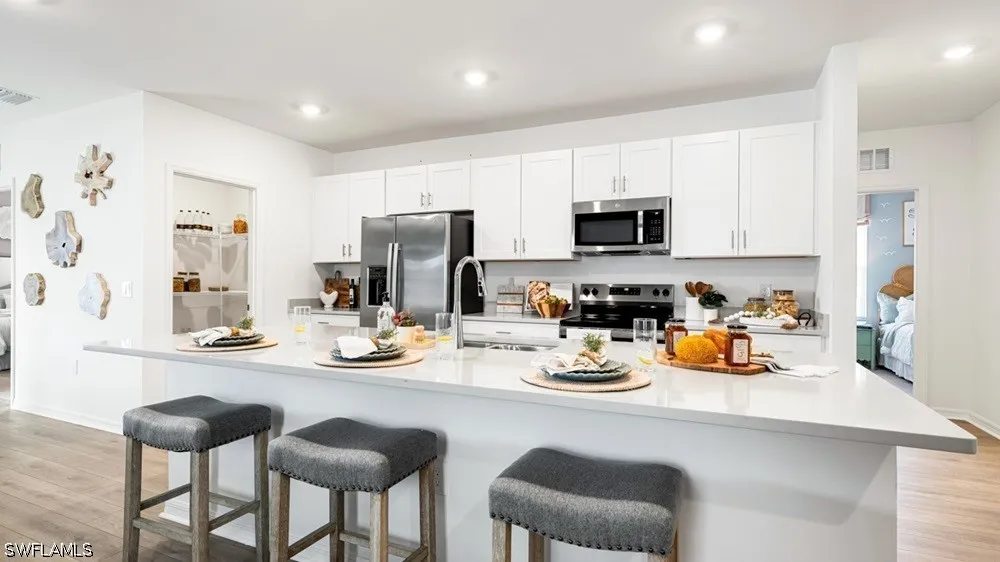 Equinox Lane North Fort Myers, FL 33917