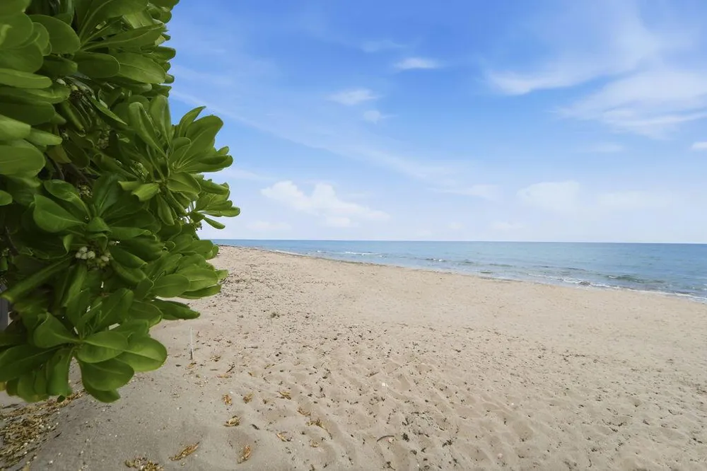 5440 Ocean Drive #203 Singer Island, FL 33404