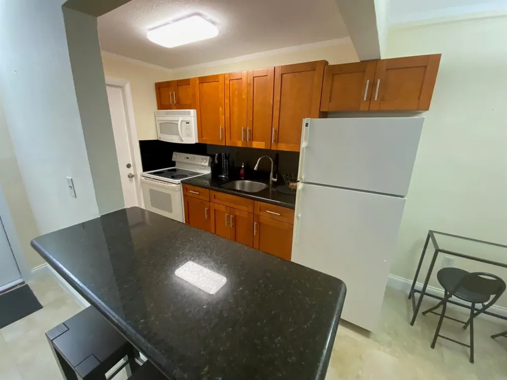 335 COLLINS AVENUE #403 Miami Beach, FL 33139