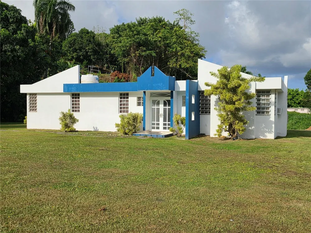 26 REY FERNANDO Rio Grande, PR 00745