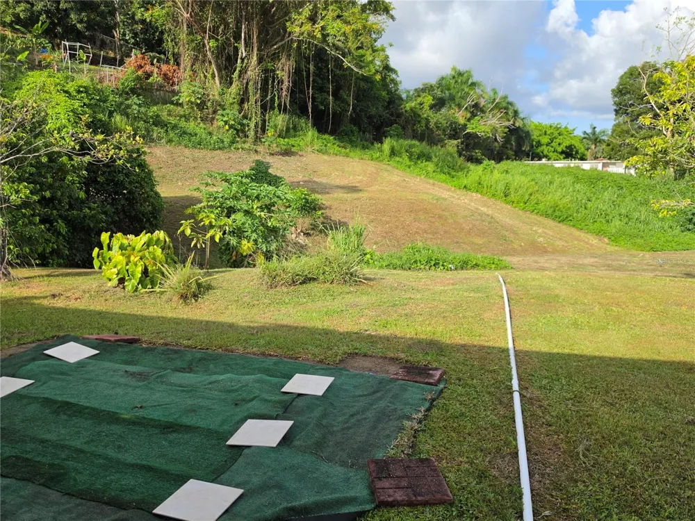 26 REY FERNANDO Rio Grande, PR 00745