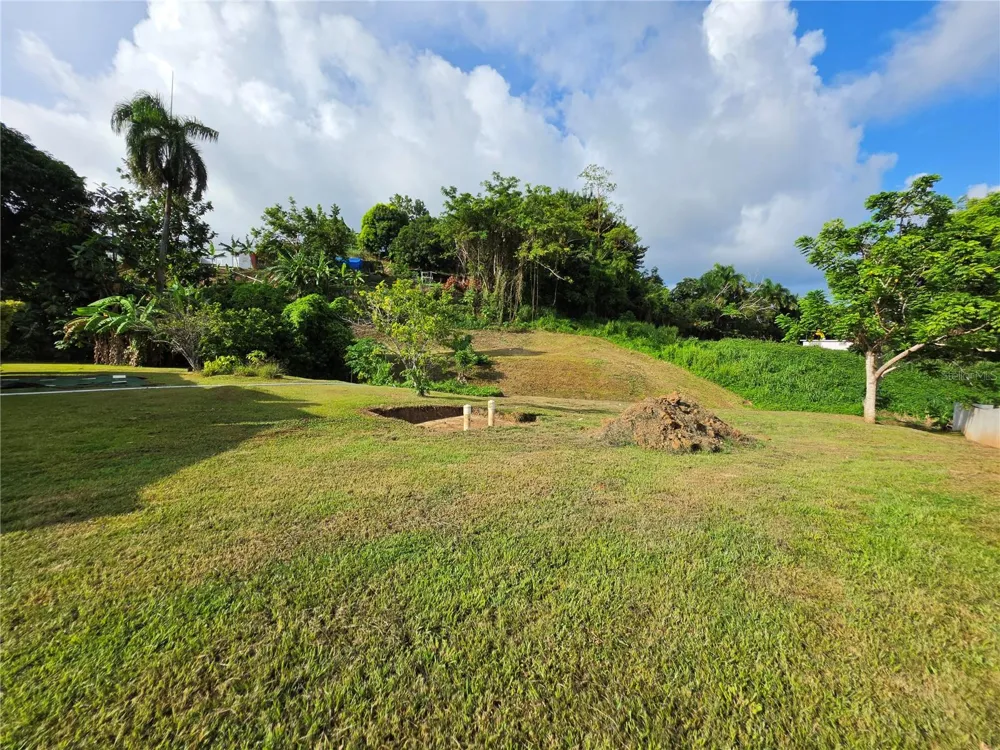 26 REY FERNANDO Rio Grande, PR 00745