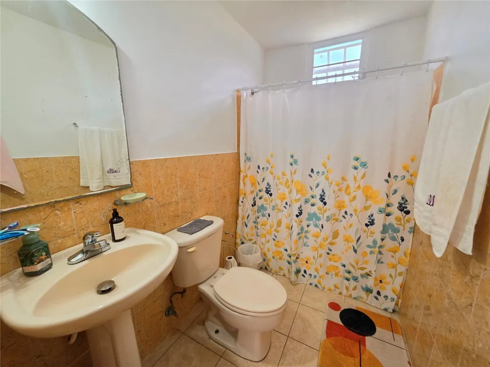 26 REY FERNANDO Rio Grande, PR 00745