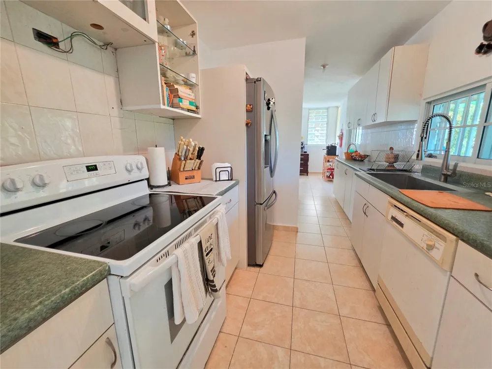 26 REY FERNANDO Rio Grande, PR 00745