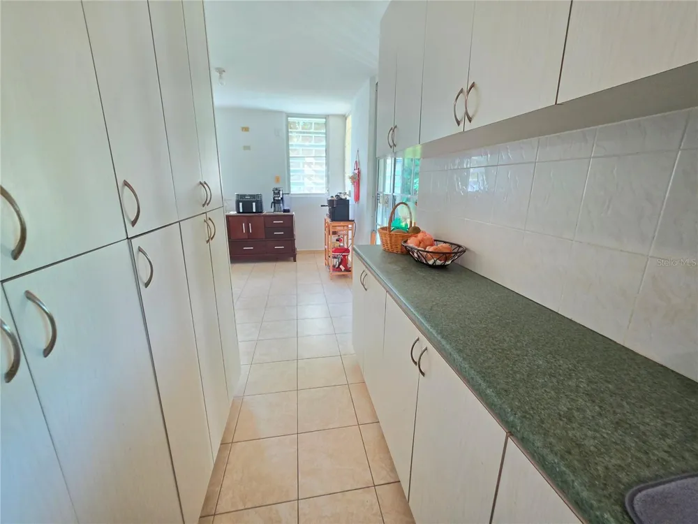 26 REY FERNANDO Rio Grande, PR 00745