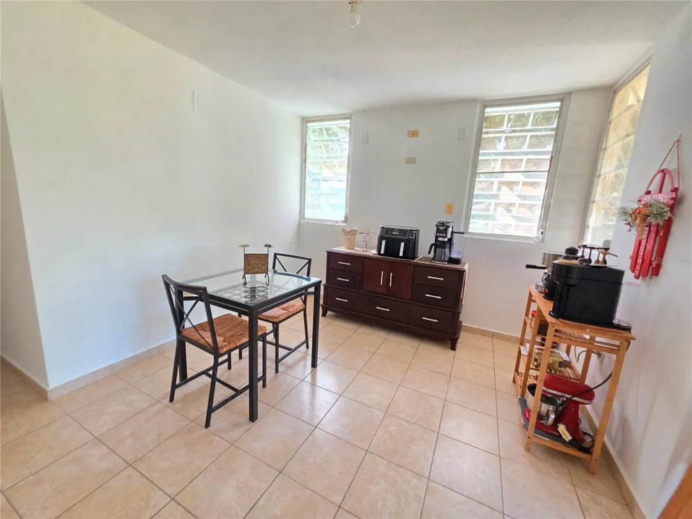 26 REY FERNANDO Rio Grande, PR 00745