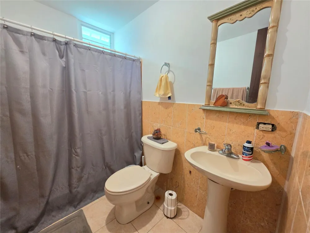 26 REY FERNANDO Rio Grande, PR 00745