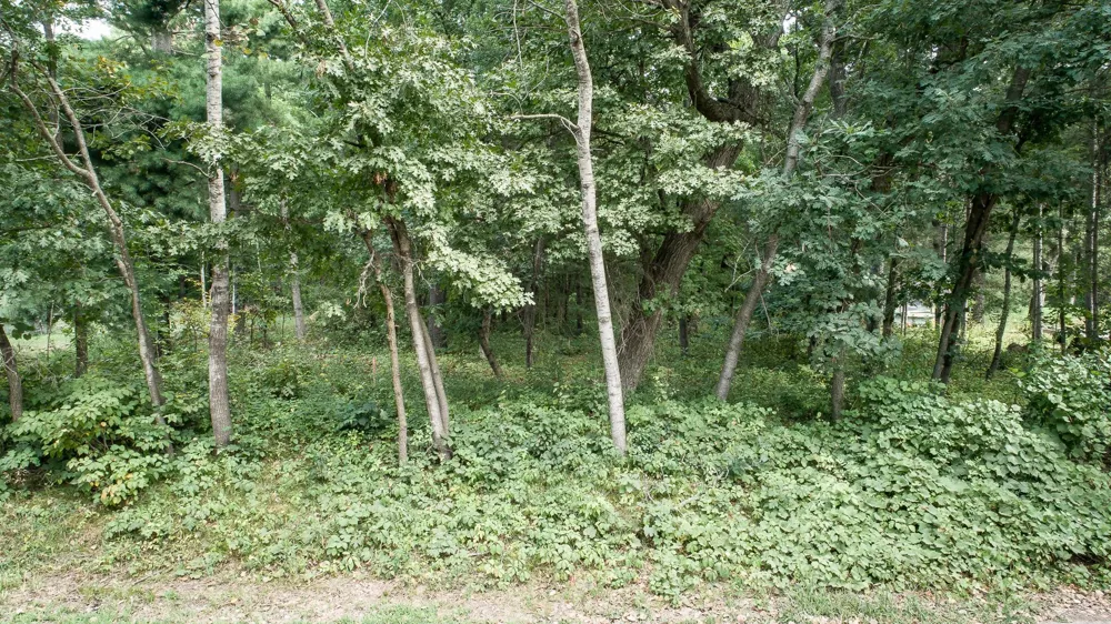 TBD 241st Avenue NE Stacy, MN 55079