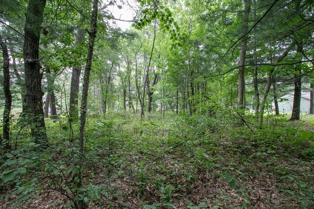 TBD 241st Avenue NE Stacy, MN 55079