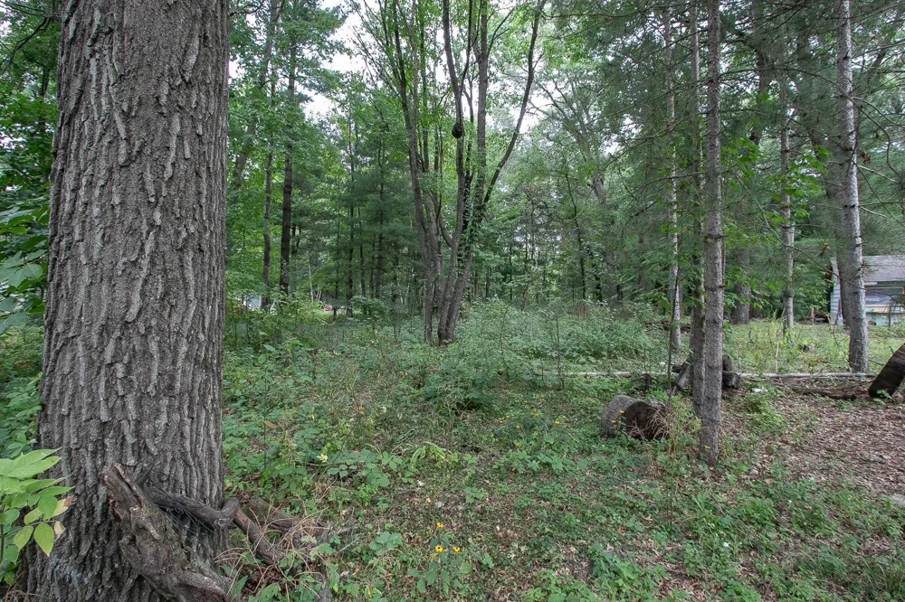 TBD 241st Avenue NE Stacy, MN 55079