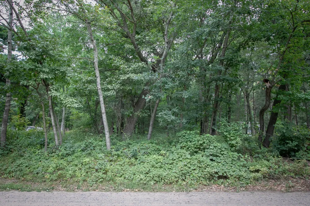 TBD 241st Avenue NE Stacy, MN 55079