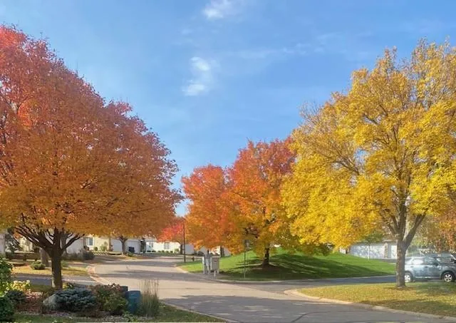 10811 Lexington Drive Eden Prairie, MN 55344