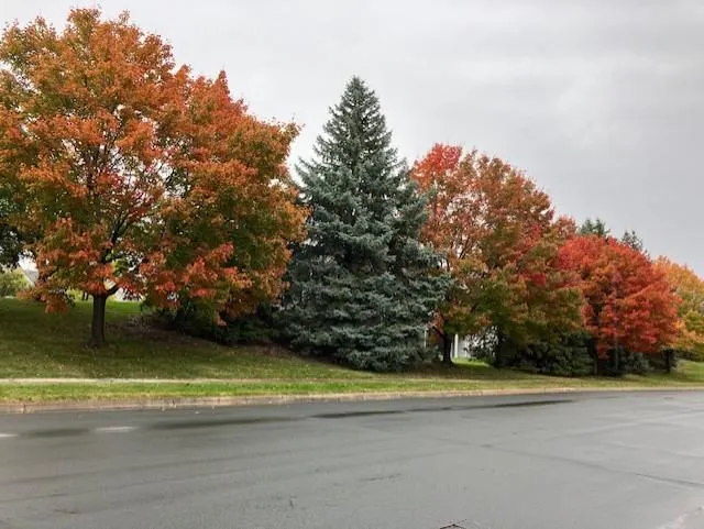 10811 Lexington Drive Eden Prairie, MN 55344