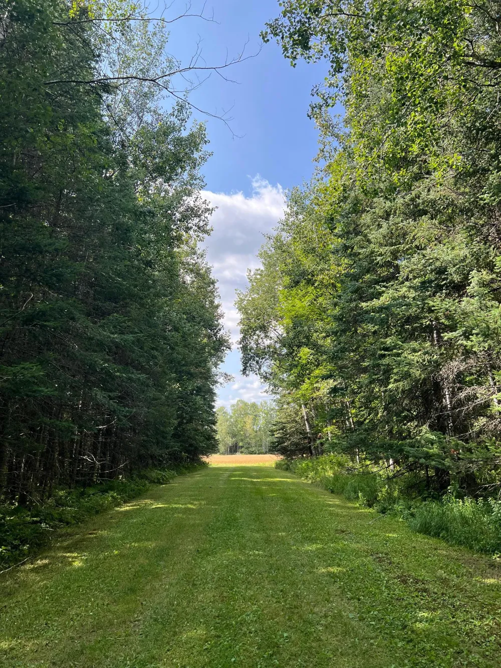 10852 W Toivola Road Toivola, MN 55765