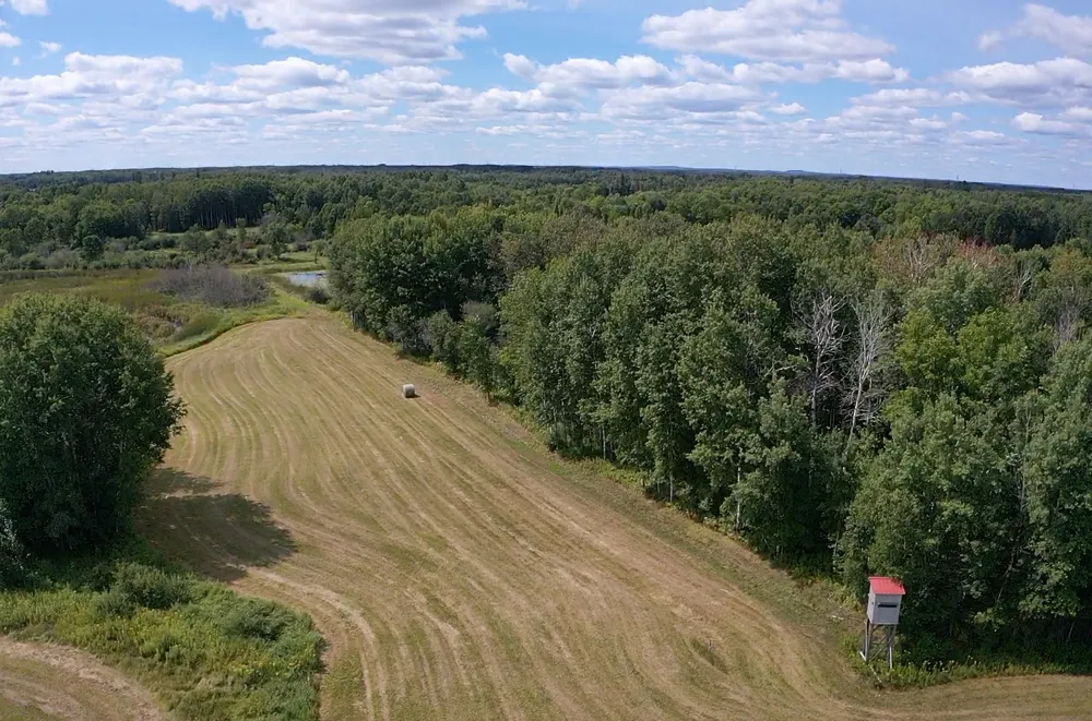 10852 W Toivola Road Toivola, MN 55765