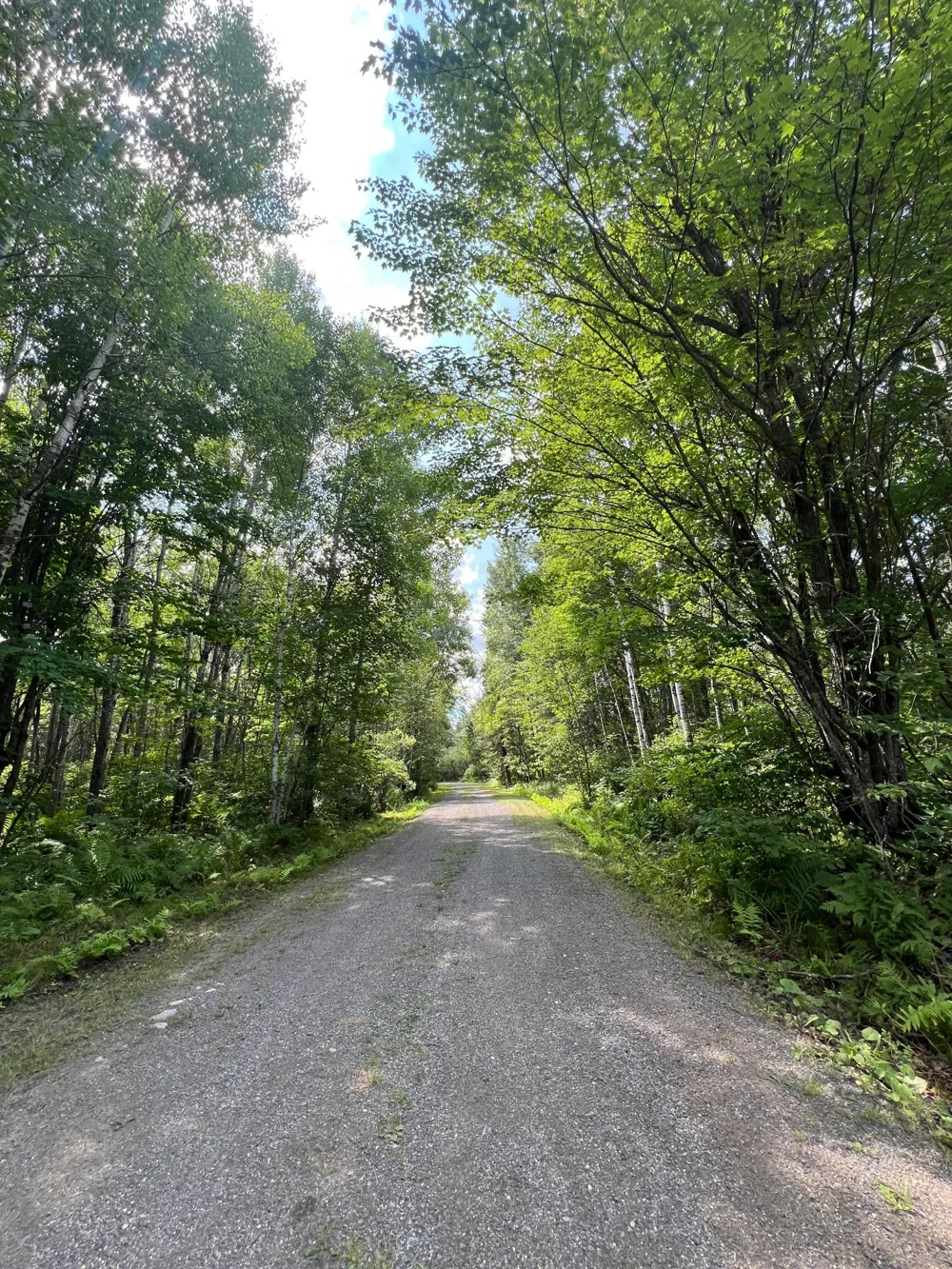 10852 W Toivola Road Toivola, MN 55765