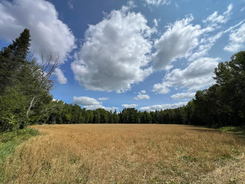 10852 W Toivola Road Toivola, MN 55765