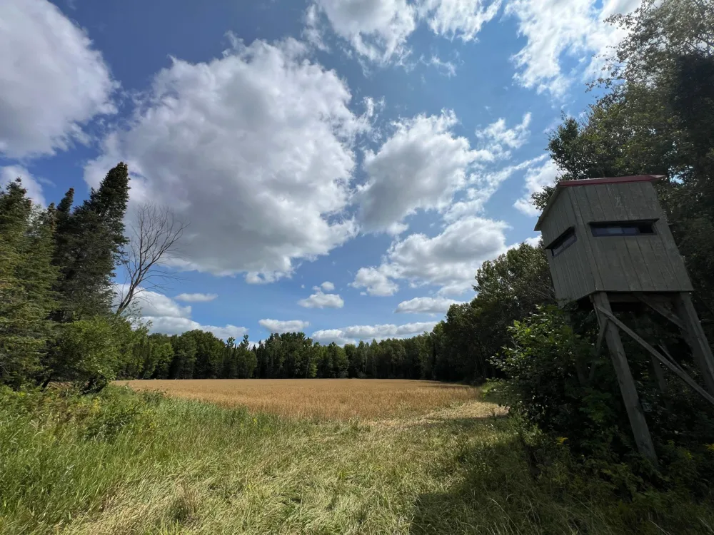 10852 W Toivola Road Toivola, MN 55765