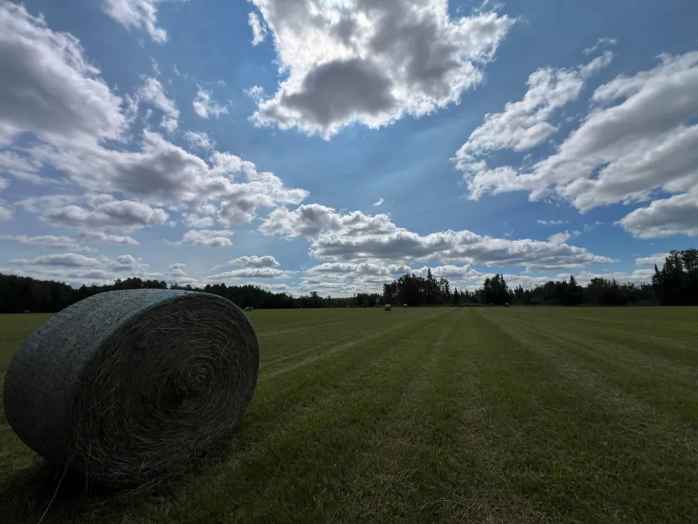 10852 W Toivola Road Toivola, MN 55765