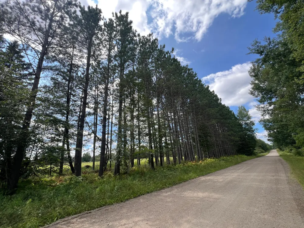 10852 W Toivola Road Toivola, MN 55765