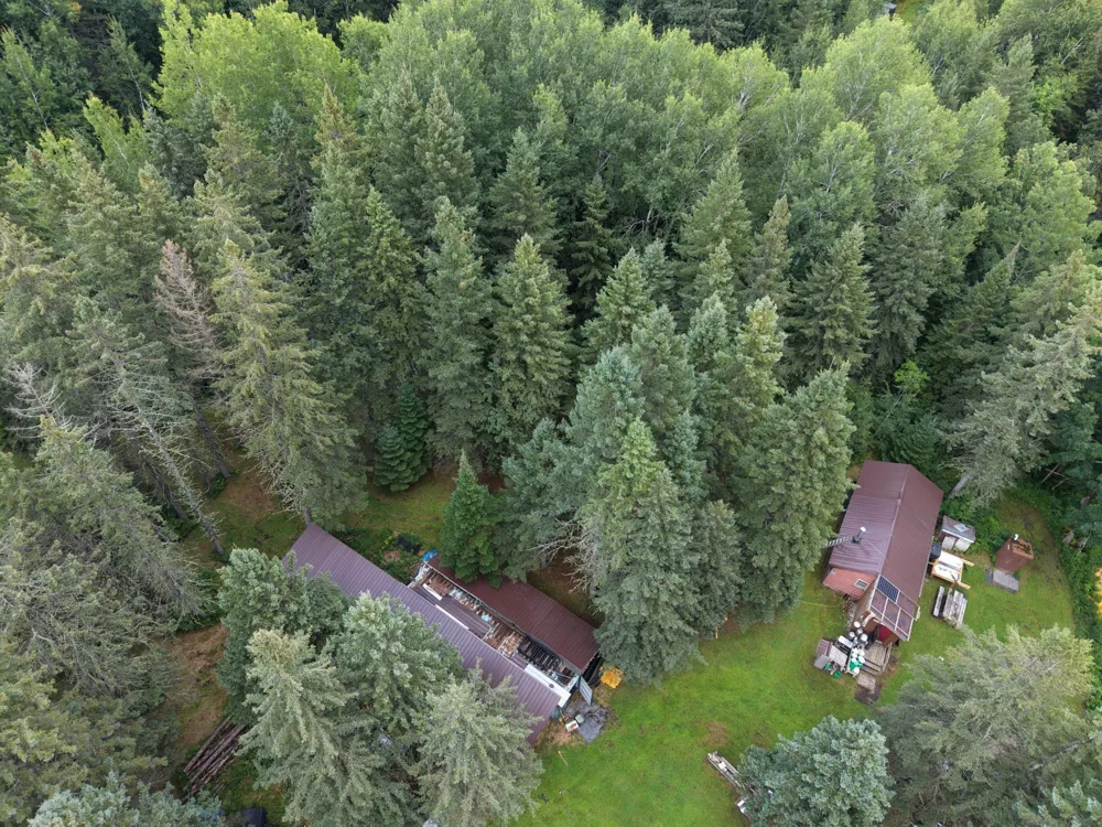 4047 Town Road 100 Loman, MN 56654