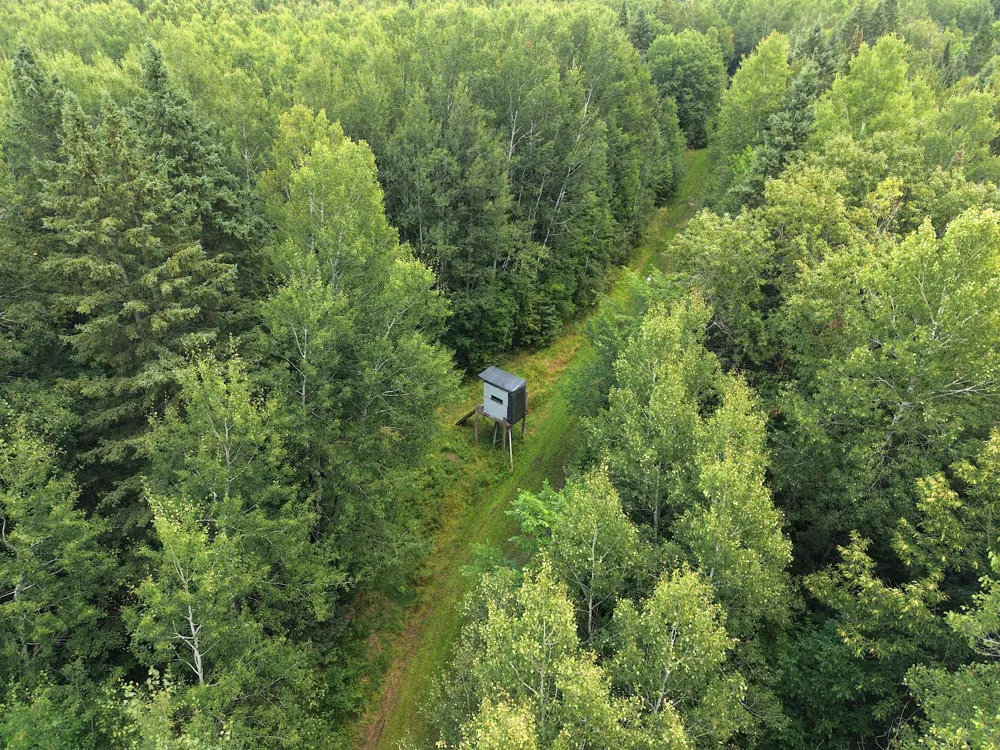 4047 Town Road 100 Loman, MN 56654