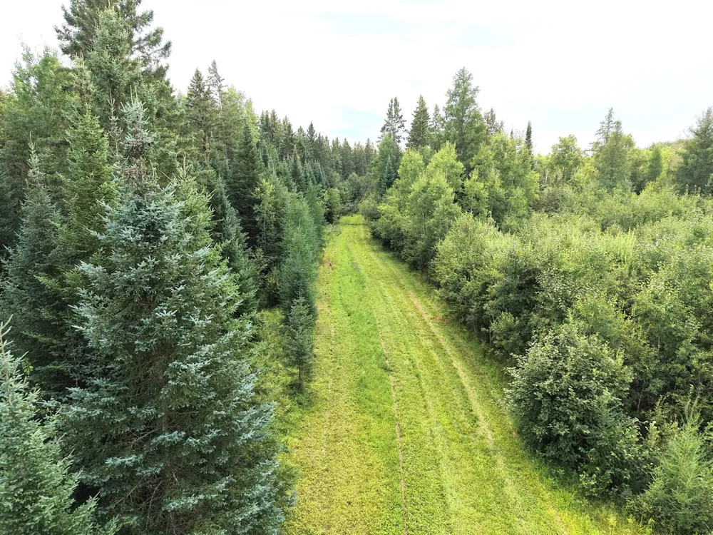 4047 Town Road 100 Loman, MN 56654