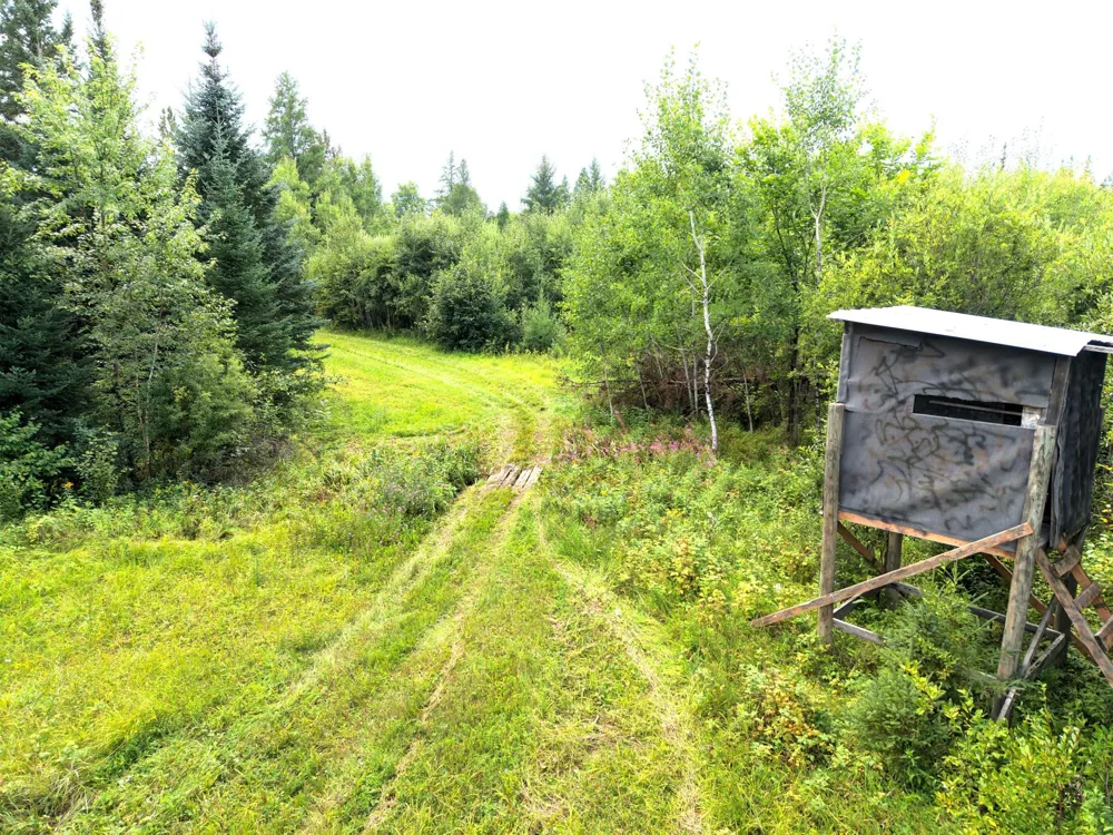 4047 Town Road 100 Loman, MN 56654
