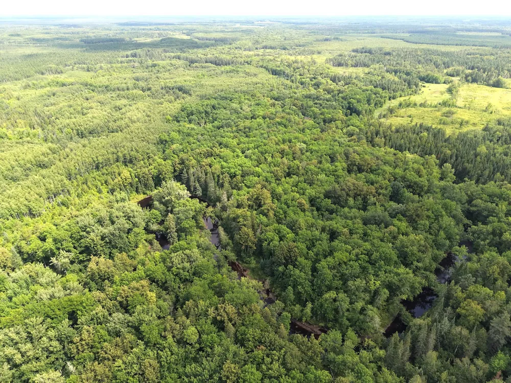 4047 Town Road 100 Loman, MN 56654