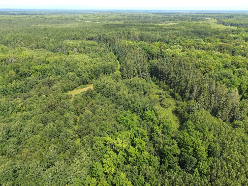 4047 Town Road 100 Loman, MN 56654