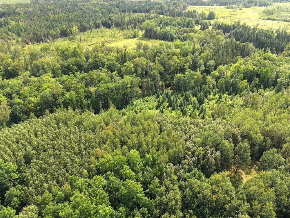 4047 Town Road 100 Loman, MN 56654