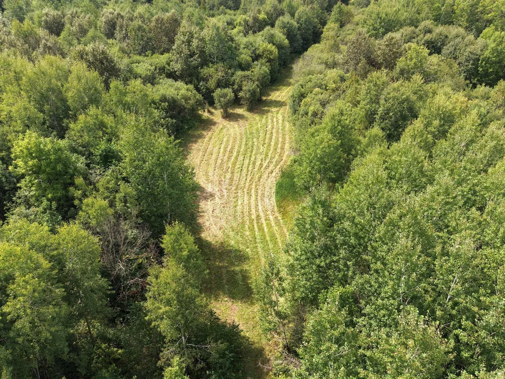 4047 Town Road 100 Loman, MN 56654