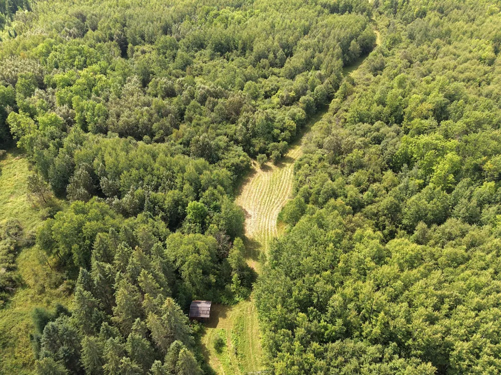 4047 Town Road 100 Loman, MN 56654
