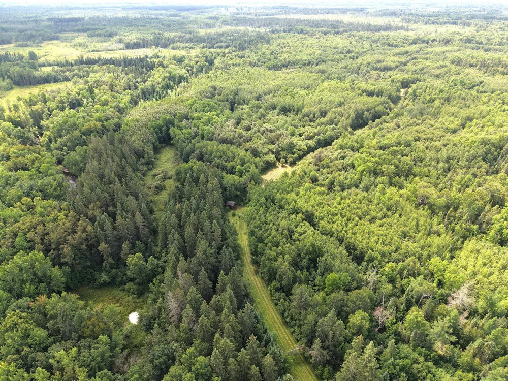 4047 Town Road 100 Loman, MN 56654